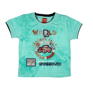 Boys Aqua Blue Printed T-Shirt